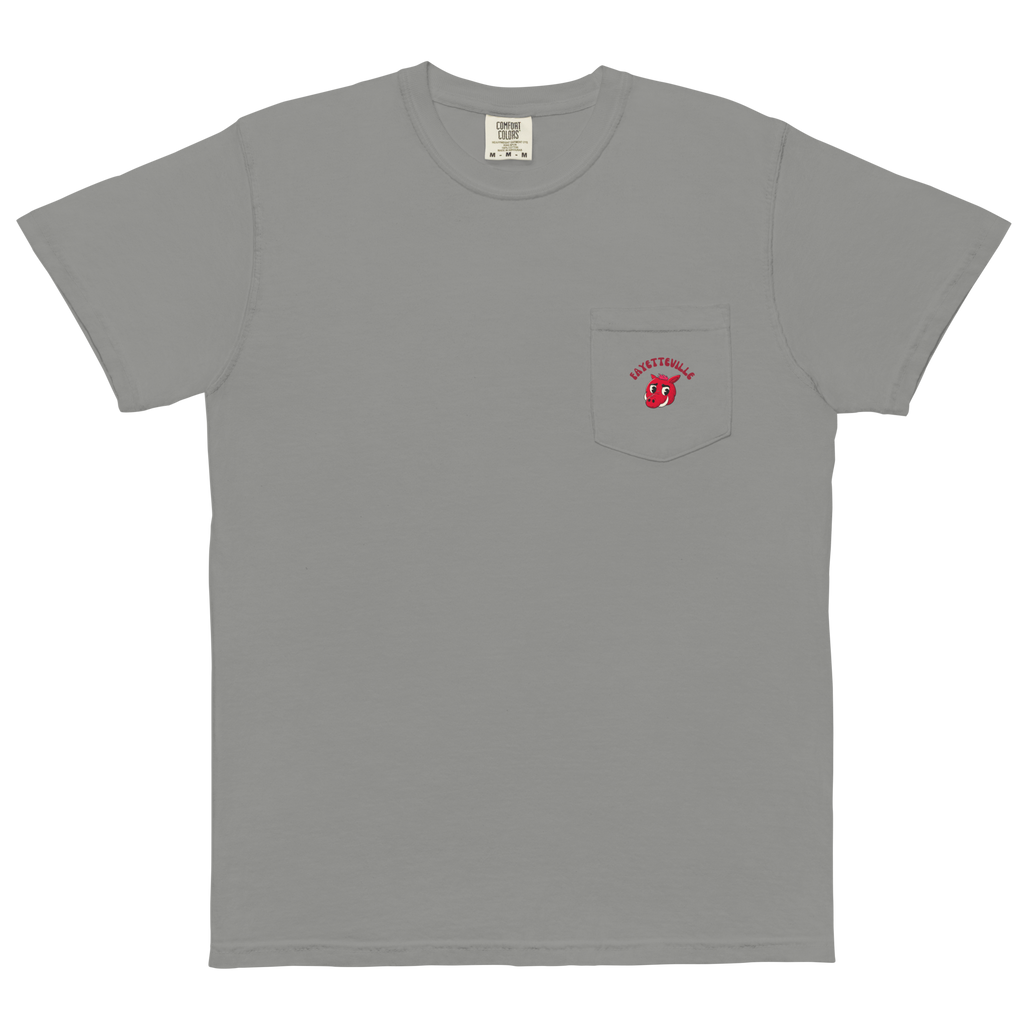 Fayetteville Arkansas Razorbacks vintage pocket t-shirt - grey front