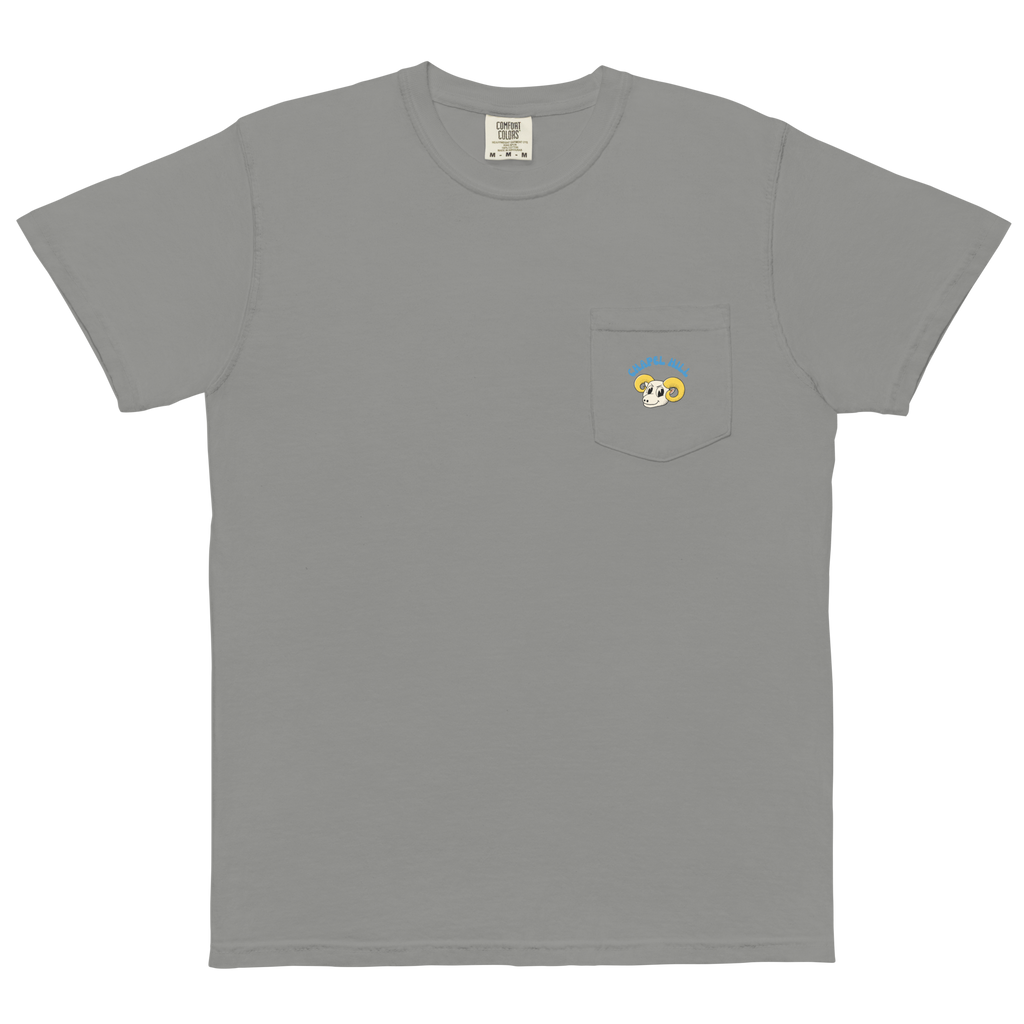 Chapel Hill North Carolina Tar Heels vintage pocket t-shirt - grey front
