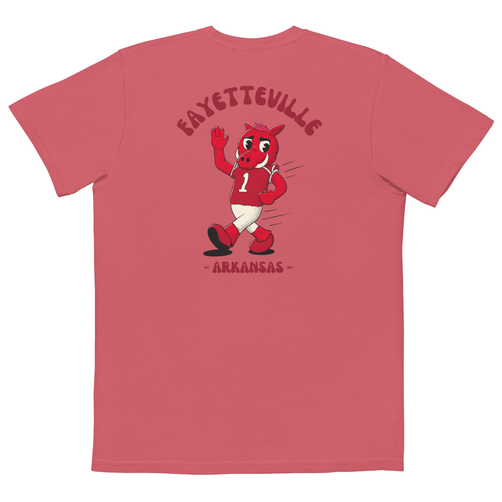 Fayetteville Arkansas Razorbacks vintage pocket t-shirt - back