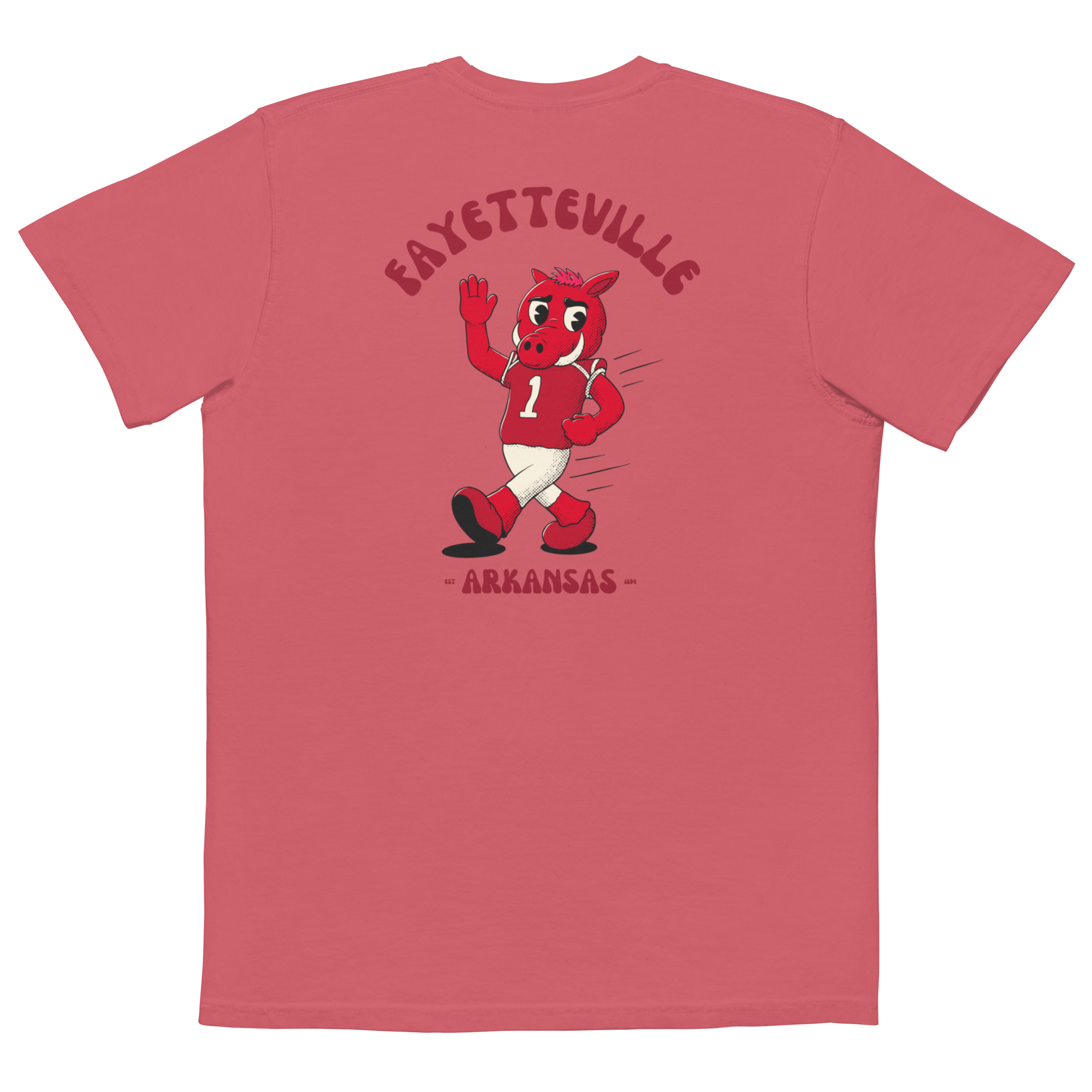 Fayetteville Arkansas Razorbacks vintage pocket t-shirt - back