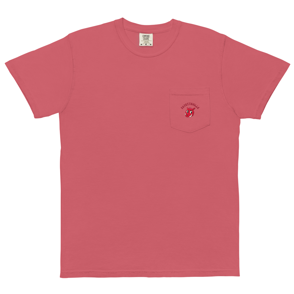 Fayetteville Arkansas Razorbacks vintage pocket t-shirt - front
