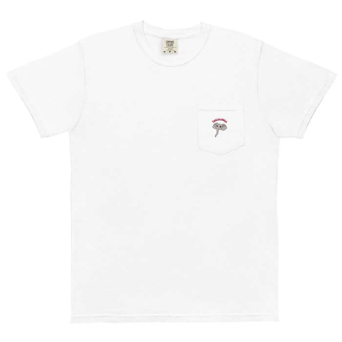 Tuscaloosa Alabama Crimson Tide vintage pocket t-shirt - white front