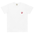 Fayetteville Arkansas Razorbacks vintage pocket t-shirt - white front